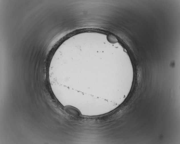 X0000115641069200912221305
