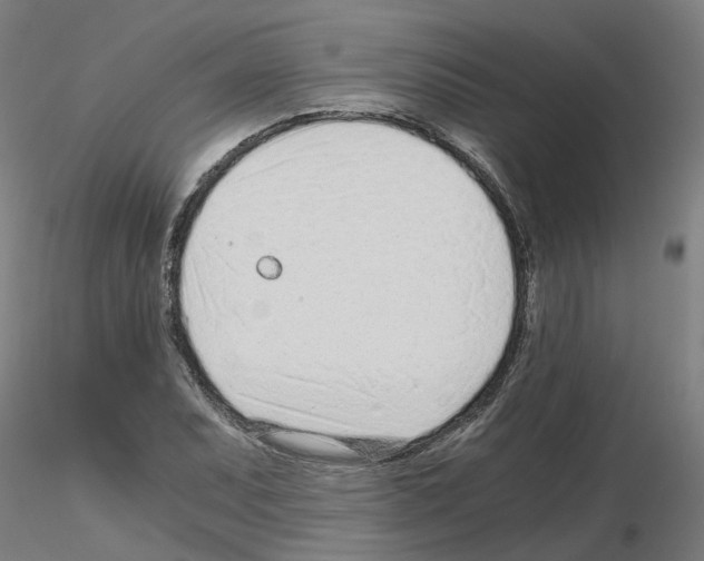 X0000115641071200912221305