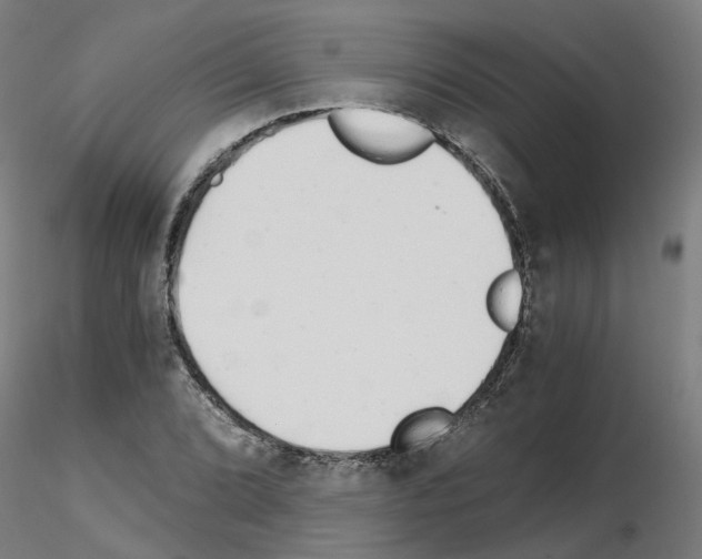 X0000115641072200912221305