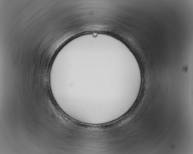 X0000115641073200912221305