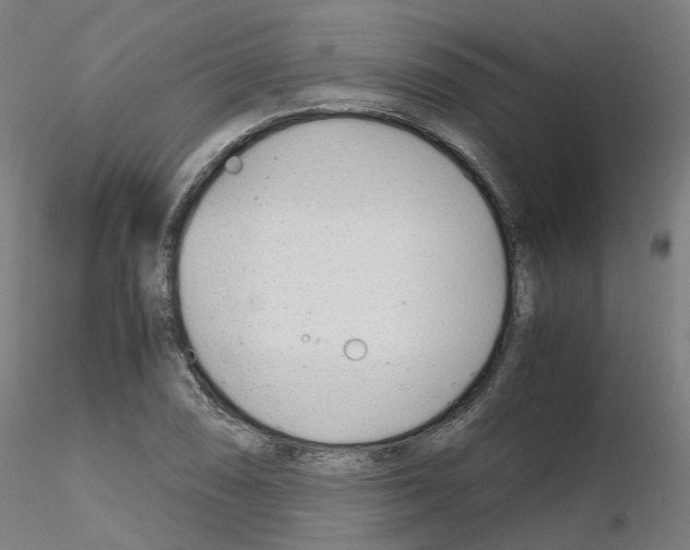 X0000115641074200912221305