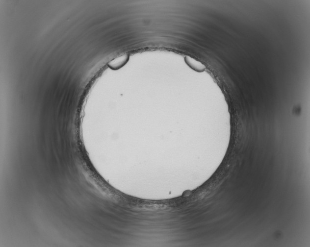 X0000115641076200912221305