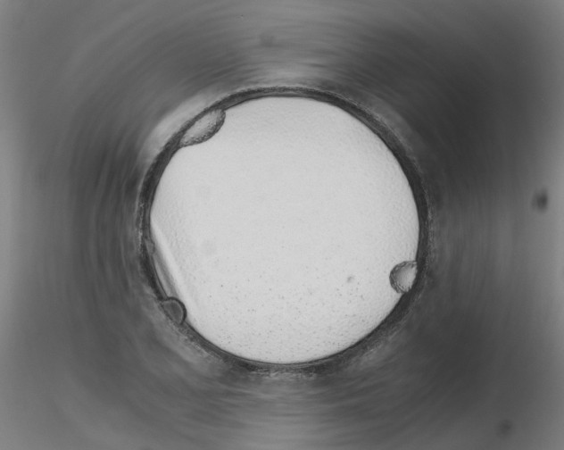 X0000115641077200912221305