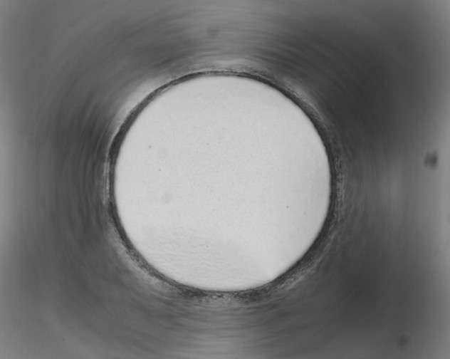 X0000115641079200912221305