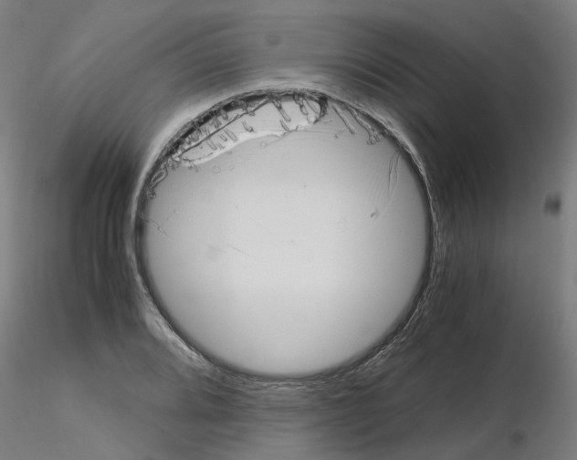 X0000115641080200912221305
