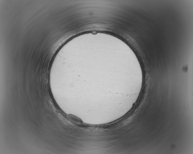 X0000115641081200912221305