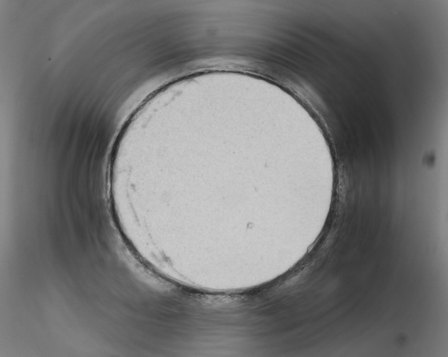 X0000115641082200912221305