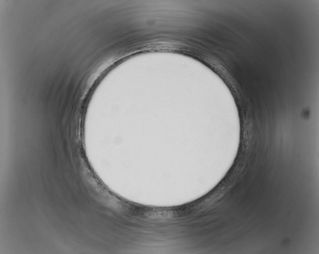 X0000115641083200912221305
