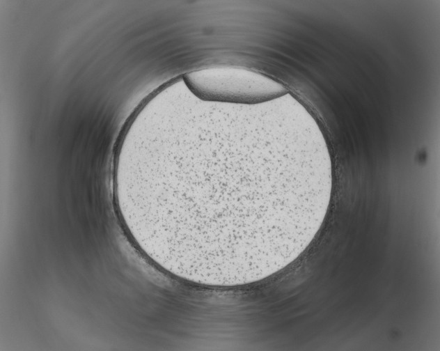 X0000115641084200912221305