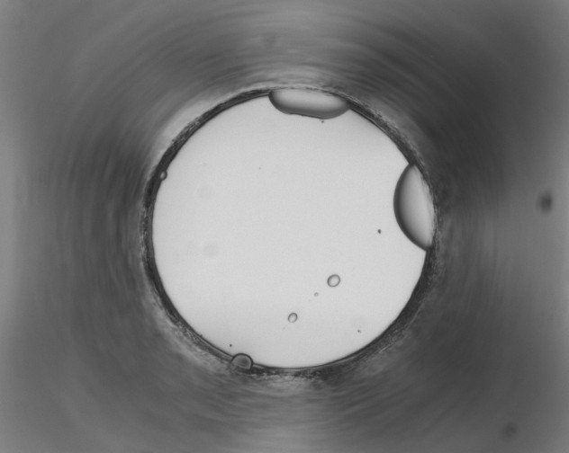 X0000115641085200912221305