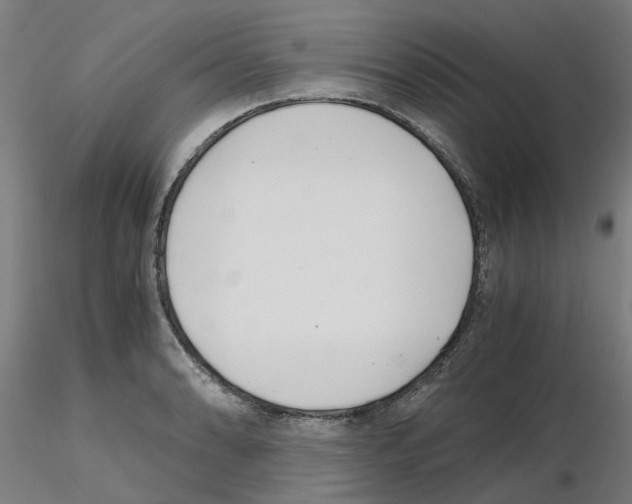 X0000115641086200912221305