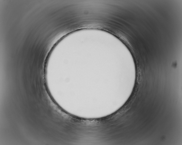 X0000115641087200912221305