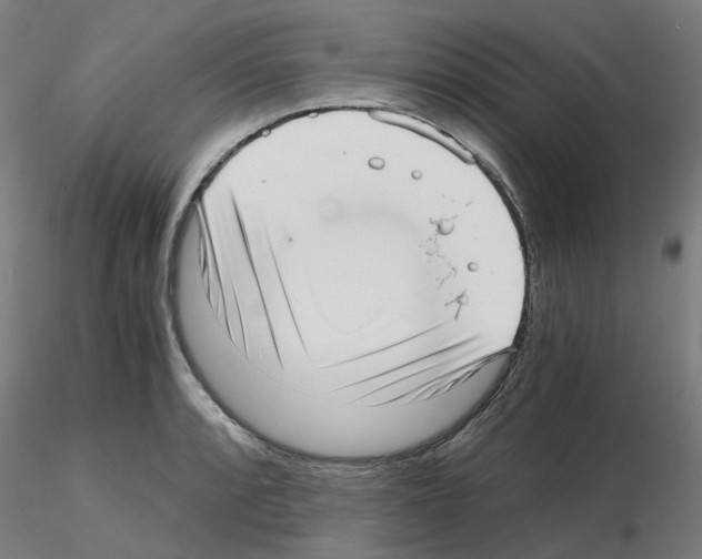 X0000115641088200912221305