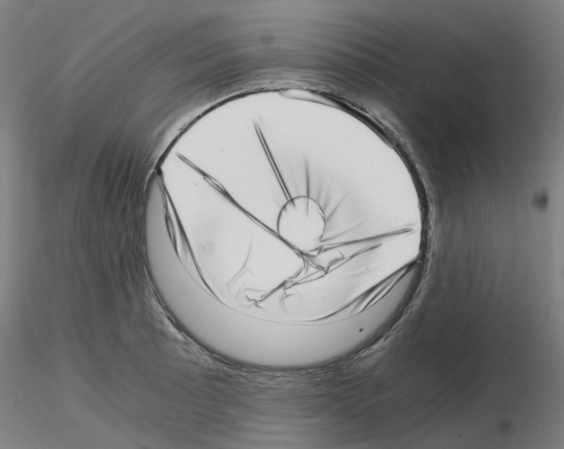 X0000115641089200912221305