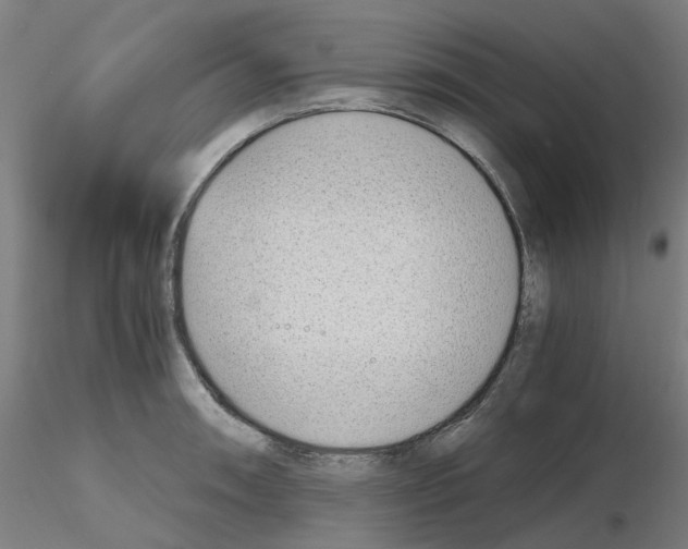 X0000115641090200912221305