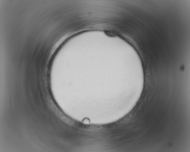 X0000115641091200912221305
