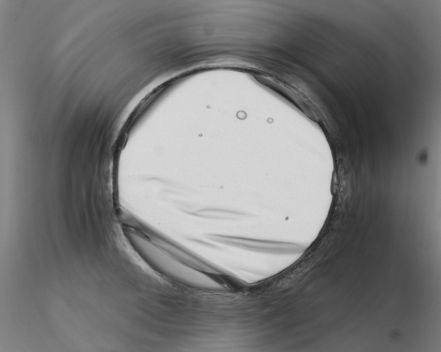 X0000115641092200912221305