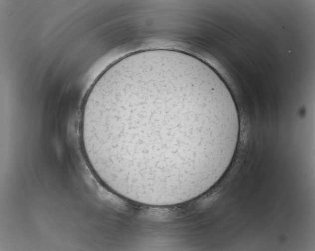 X0000115641094200912221305