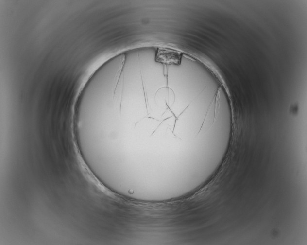 X0000115641096200912221305