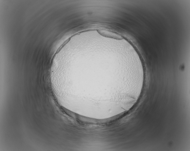 X0000115641097200912221305