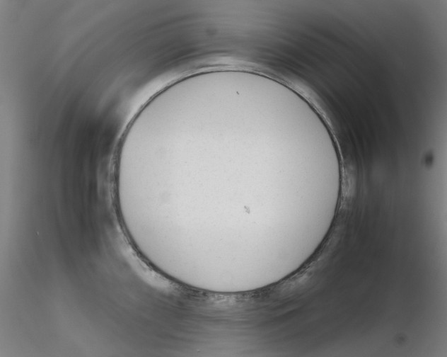 X0000115641098200912221305
