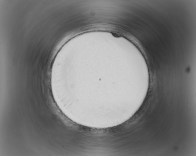 X0000115641099200912221305