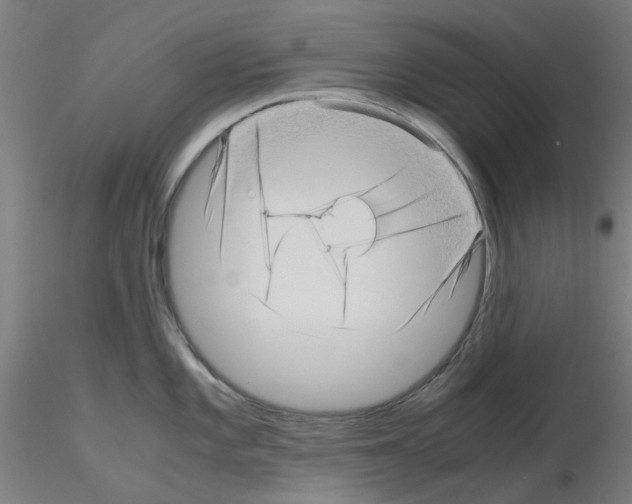 X0000115641101200912221305