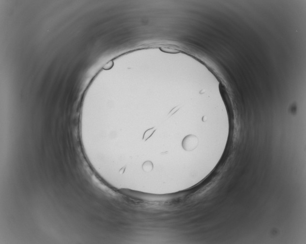 X0000115641102200912221305