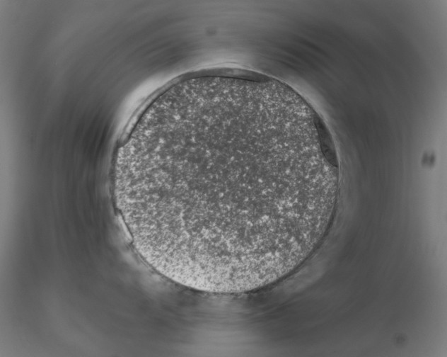 X0000115641104200912221305