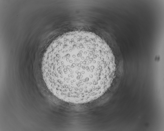 X0000115641105200912221304