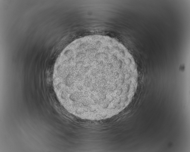 X0000115641106200912221304