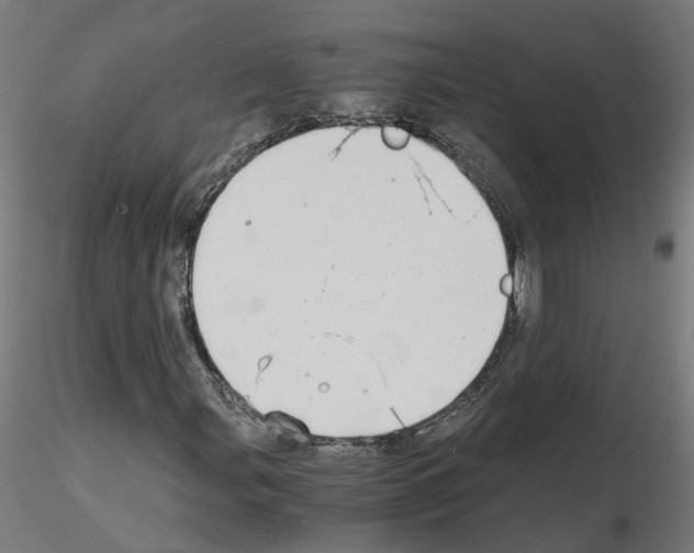 X0000115641107200912221304