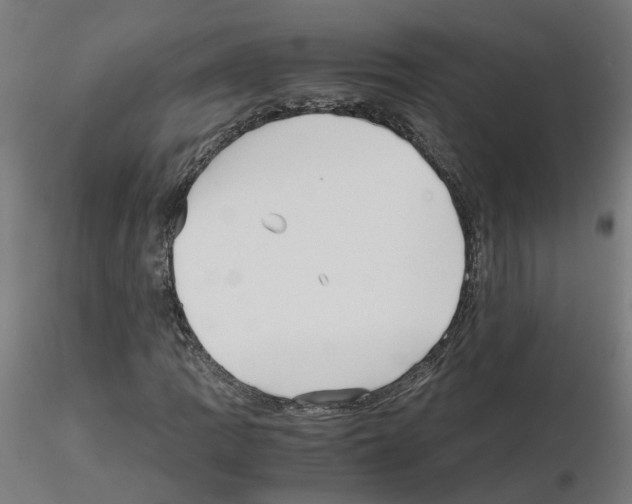 X0000115641109200912221304