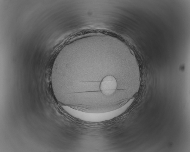 X0000115641110200912221304