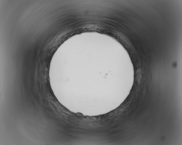X0000115641111200912221304