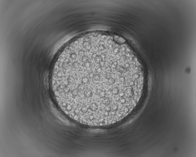 X0000115641113200912221304