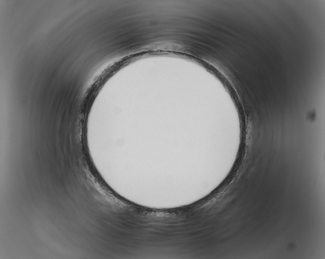 X0000115641115200912221304