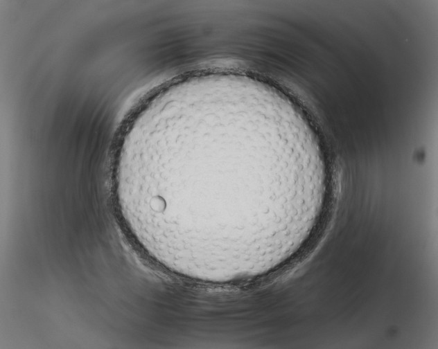 X0000115641117200912221304