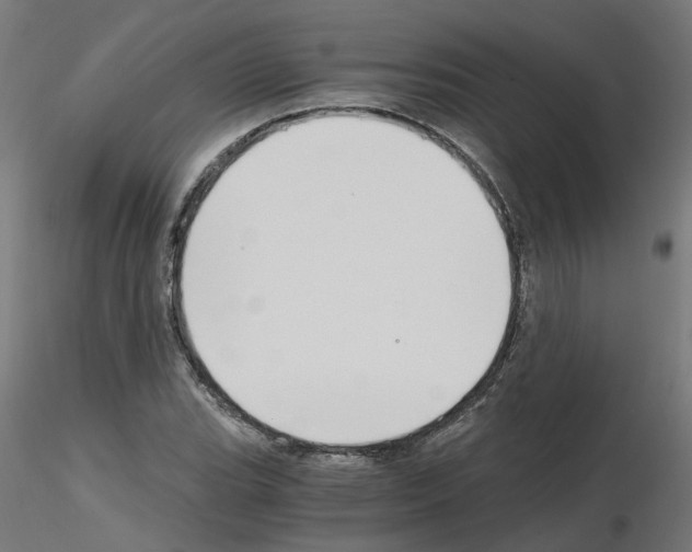 X0000115641119200912221304