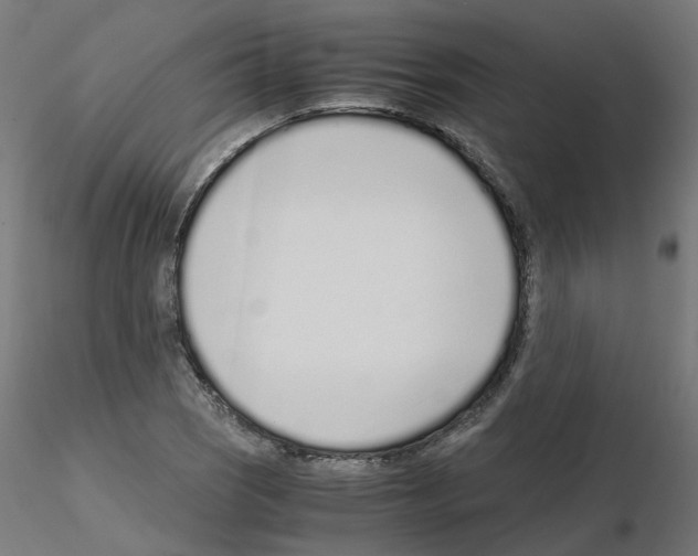 X0000115641121200912221304