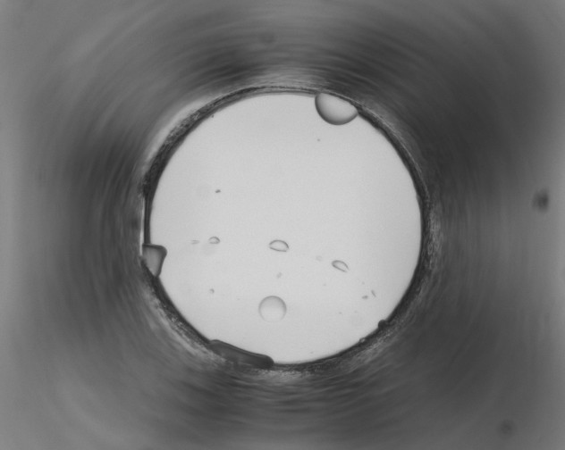 X0000115641123200912221304