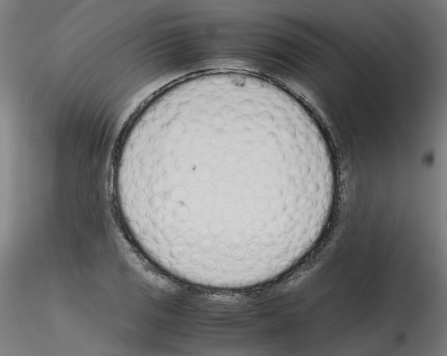 X0000115641125200912221304