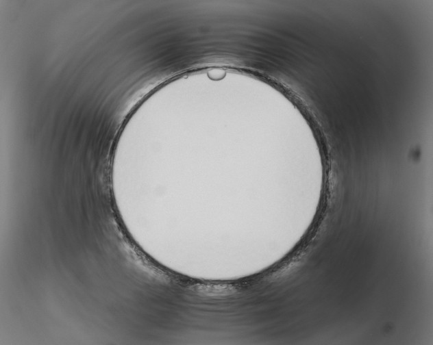 X0000115641129200912221304