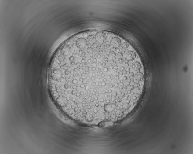 X0000115641130200912221304