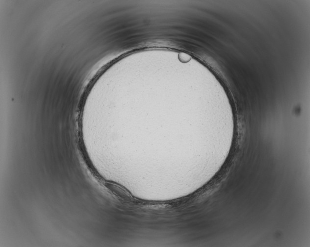 X0000115641133200912221304