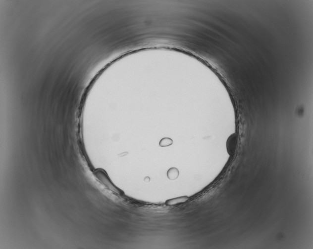X0000115641134200912221304