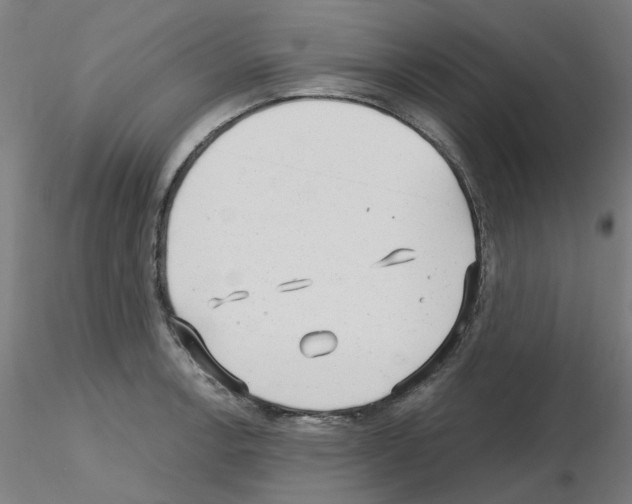 X0000115641138200912221304