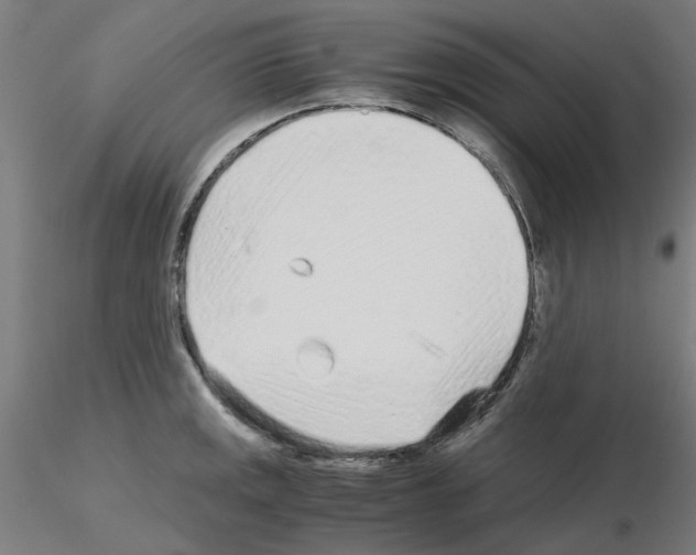 X0000115641141200912221305