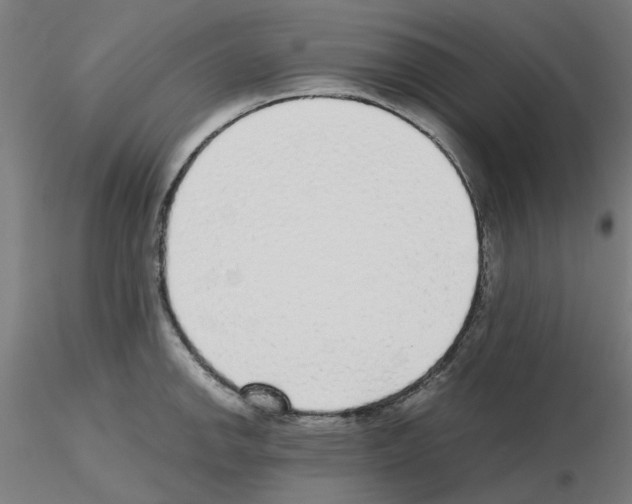 X0000115641142200912221305