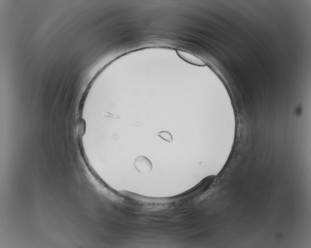 X0000115641143200912221305